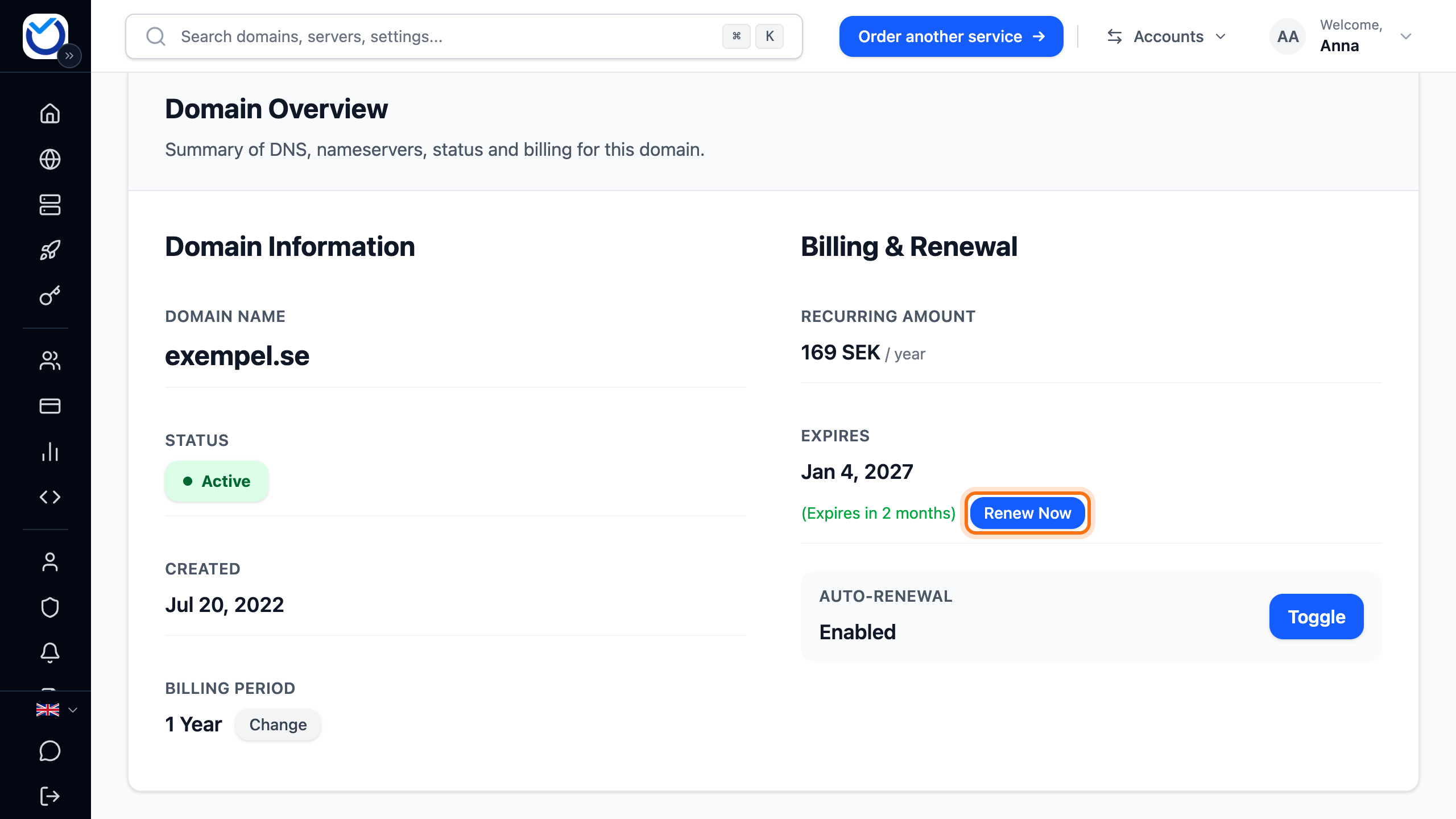 The domain’s overview with the Renew Now button framed