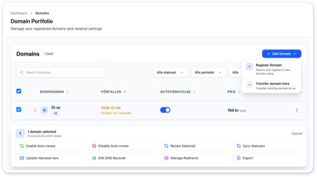 domain management control panel