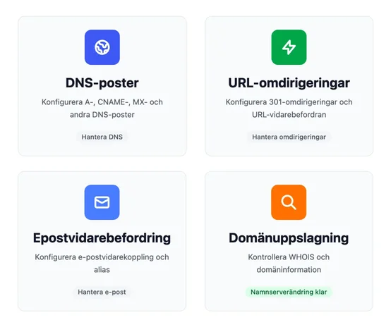 Snabbåtgärderna i kundzonen: DNS-poster, URL-omdirigeringar, e-postvidarebefordring och domänuppslagning