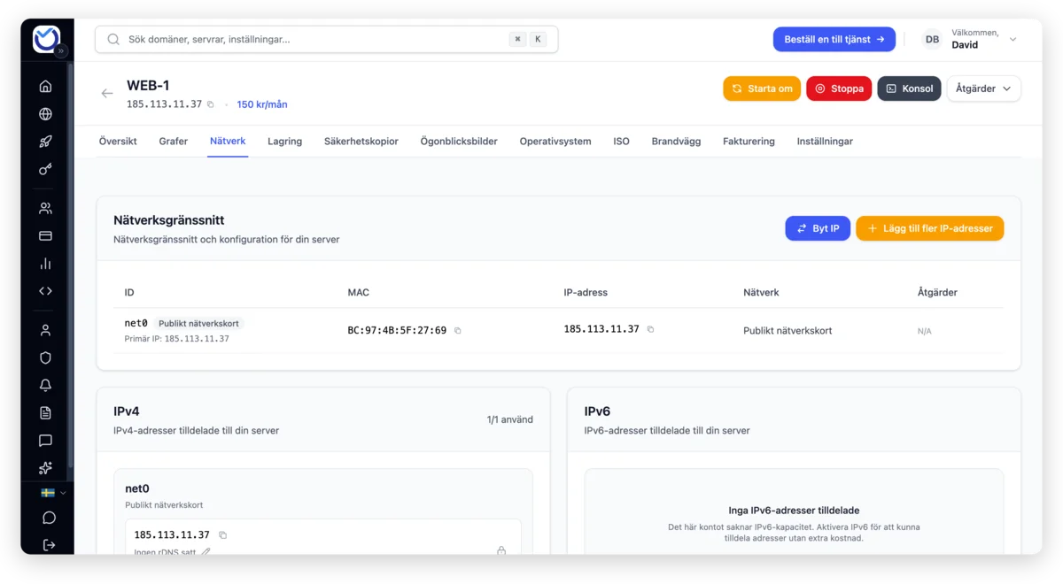 Nätverksöversikt med publika IP-adresser, IPv6 och nätverkskort för din server.