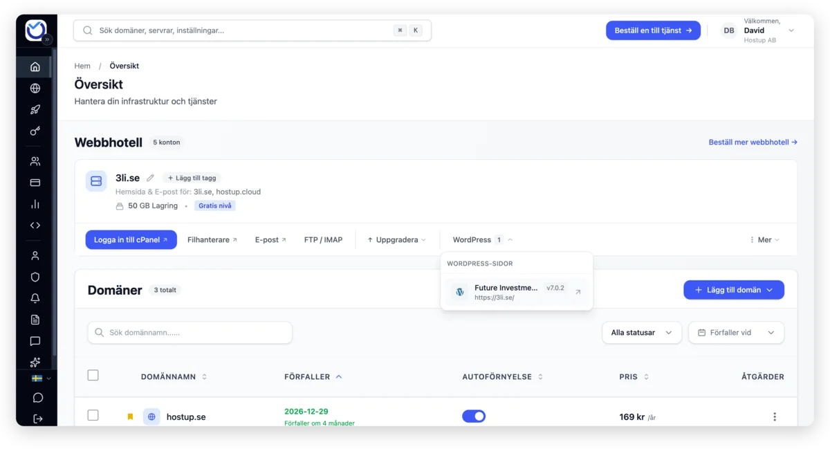 Webbhotellsöversikten i kundzonen: logga in till cPanel, hantera e-post, WordPress-sajter och domäner på ett ställe