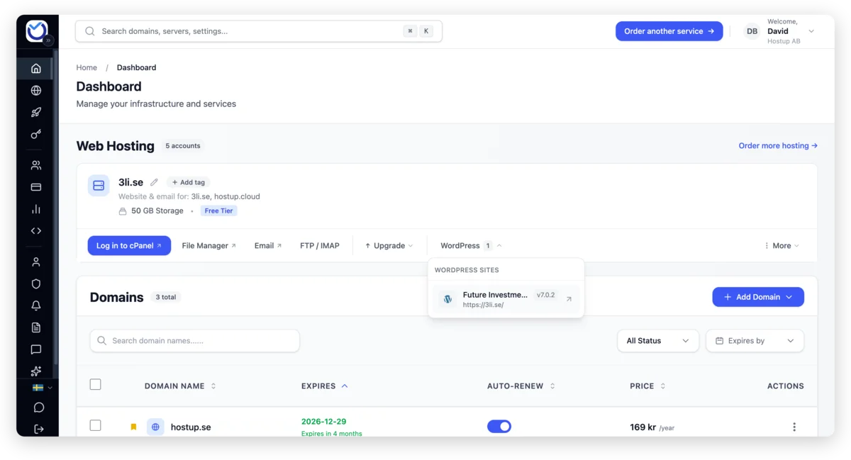 The web hosting overview in the client area: log in to cPanel, manage email, WordPress sites and domains in one place